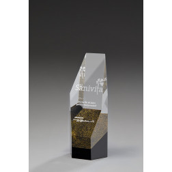 Barcelona Award