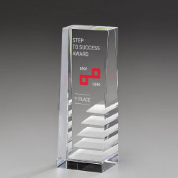 Career Award