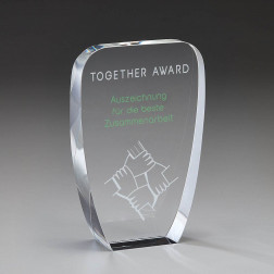 Unity Crystal Award