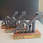 3D-Award individuell gefertigt mit Holzsockel und unterschiedlicher Plakete - Awards