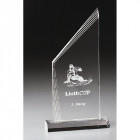Sky Tower Trophy mit Gravur - awards.at