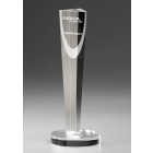 Associate Award aus Kristallglas mit Gravur - Awards