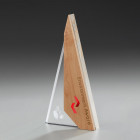 Envato Award aus Glas und Holz mit individueller Gravur und Druck - 59903 - Awards
