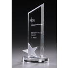 Glas Award Frozen Star mit Gravur - awards - ebets