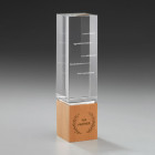 Light Cubex Award aus Glas mit Holzsockel und individueller Gravur - 59908 - Awards