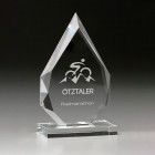 Partner Award mit individueller Gravur - awards