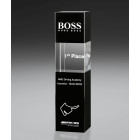 Plain Award mit schwarzem und klarem Kristallglas mit Druck - Awards