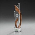Together Award aus Holz und Glas mit individueller Gravur und Druck - 59911 - Awards
