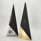 Triangle Wood Award mit Silber- und Gold-Emblem und farblich passendem Druck - Awards
