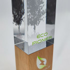 Wood-Base Award kombiniert Kristallglas mit Holzsockel mit Spiegelverklebung als optisches Highlight - Awards