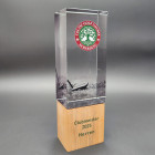 Wood-Base Award kombiniert Kristallglas mit Holzsockel und individuellem Digitaldruck - Awards