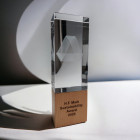 Wood Base Award mit 3D Lasergravur und Gravur am Holzsockel - Awards