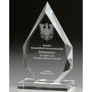 7993-partner-award-mit-gravur