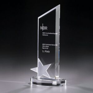 Glas-Award-Frozen-Star-7905_awards_ebets