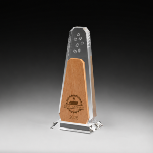 Valdena-award-aus-glas-und-holz-mit-individueller-gravur-59904-awards