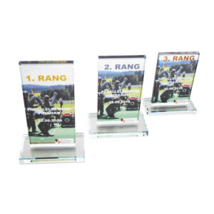Trophy Champion Glasaward mit Gravur und Druck - Kundenbeispiel 3er-Set - Made by ebets