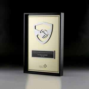 frame-award-groesse-a4-awards