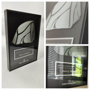 frame-award-in-schwarz-fuer-stein-consulting-awards