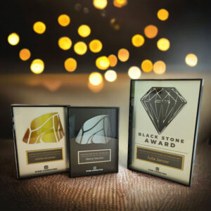 frame-award-in-verschiedenen-groessen-und-designs-fuer-stein-consulting-awards