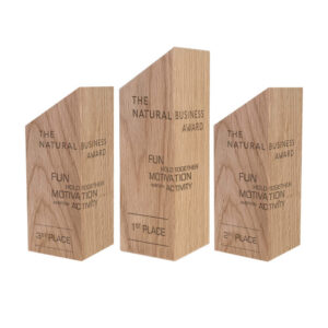 holz-cubix-award-referenz-the-natural-business-award-im-3er-set
