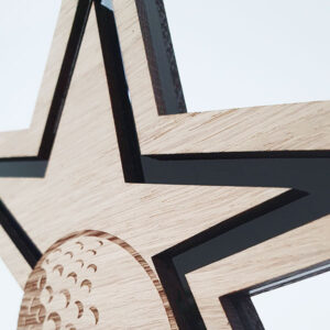 holz-trophaee-starlight-detailansicht-ausschnitt-award