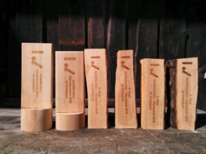 individuelle-Holztrophaae_Scheidlball