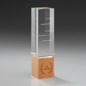 light-cubex-award-aus-glas-mit-holzsockel-und-individueller-gravur-59908-awards