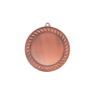 Medaille Klassiker 70mm Durchmesser in bronze - awards.at