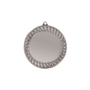 Medaille Klassiker 70mm Durchmesser in silber - awards.at