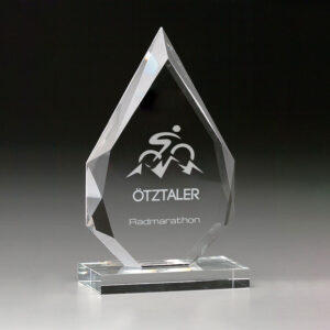 partner-award-mit-individueller-gravur-7993-awards
