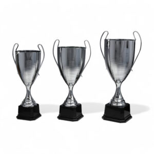 pokal-silbercup-in-schlichter-edler-kelchform-56650-awards