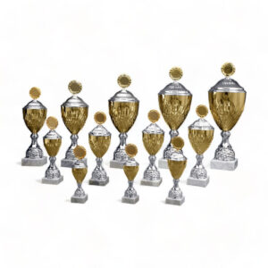 pokal-stuttgart-gold-silber-kombiniert-in-12-groessen-56880-awards