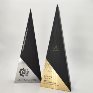 triangle-wood-award-mit-silber-und-gold-emblem-graviert-und-farblich-passendem-druck-awards